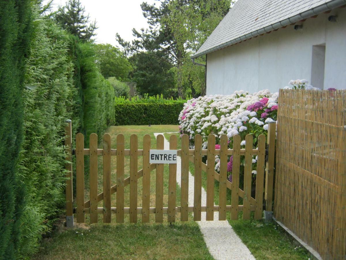 Des Pins Penches