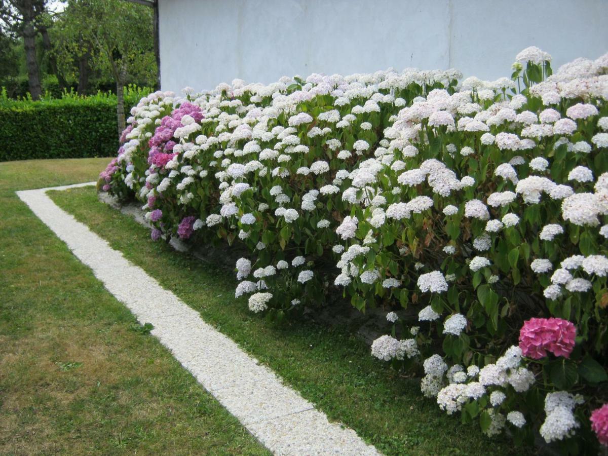 Des Pins Penches Ferienhaus *